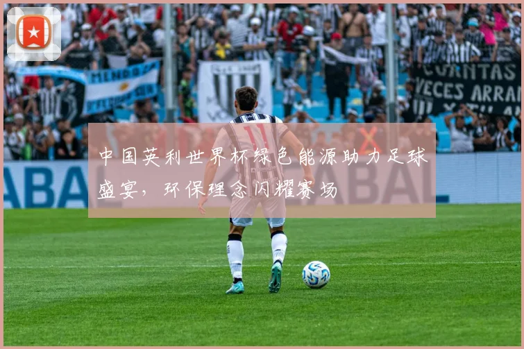 中国英利世界杯绿色能源助力足球盛宴，环保理念闪耀赛场