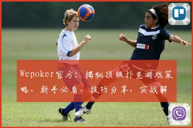 Wepoker官方：揭秘顶级扑克游戏策略，新手必看，技巧分享，实战解析，赢在起点，三步到位