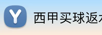 西甲买球返水 logo